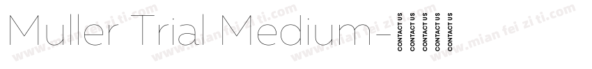Muller Trial Medium字体转换